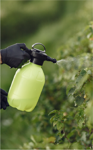 Spray application on foliage
